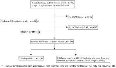 Construction and validation of a prognostic nomogram in metastatic breast cancer patients of childbearing age: A study based on the SEER database and a Chinese cohort